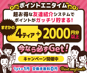 【ポイントエニタイム】がっつり稼げる！？その仕組みとは？