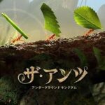 【ザ・アンツ】最強アリを育成せよ!戦略シミュレーションゲーム